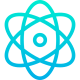 react-icon